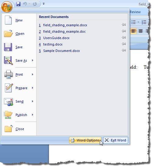 Clicking Word Options in Word 2007
