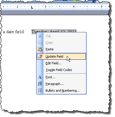 Updating a field in Word 2003