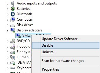 disable display adapter