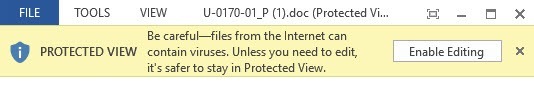 protected view word